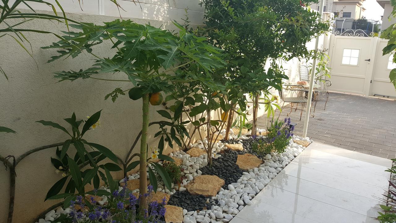 Regina'S Place Or Akiva Εξωτερικό φωτογραφία